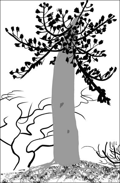 장병언, Digital Drawing, digital_work, 2026